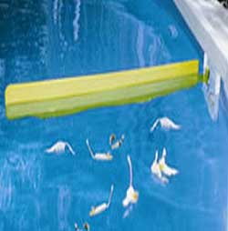 Skim-It Swimming Pool Skimmer Extension
