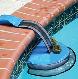 Swimming Pool Critter Escape Ramp
