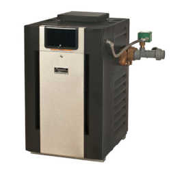 Raypak Professional Pool and Spa Heater with CuNi and Brass