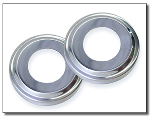 Stainless Steel Escutcheons for In Ground Ladder