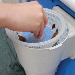 skimmer basket