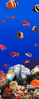 Aquarium Tile 20ga. 48 Beaded Pool Liner