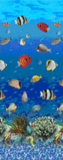 Coral Commercial 25 Gauge 48/52