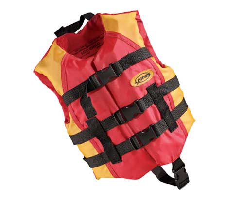 Medium Life Vest	30 - 50 lbs. - Currently Unavailable