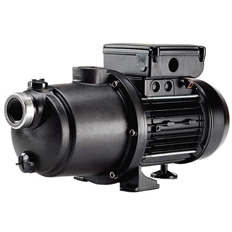 Pentair 1 hp Booster Pump 115/230V 60 Hz 0