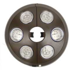 6-Light umbrella light