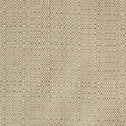 Olefin Champagne Linen